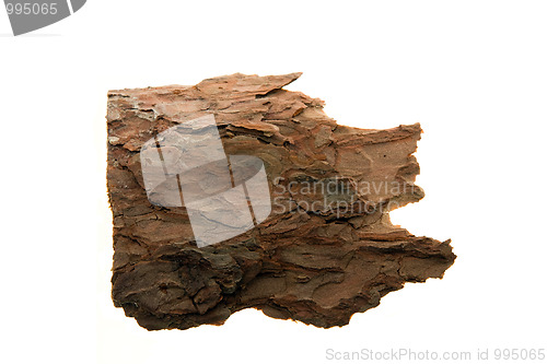 Image of Pine bark