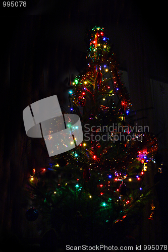 Image of christmas fir with lightings