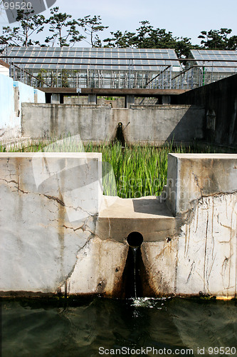 Image of Garden