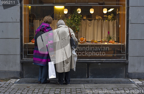 Image of Female shopping Denmark