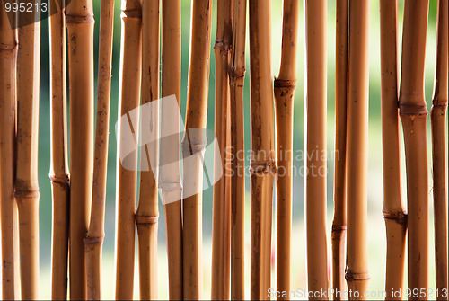 Image of Bamboo (cane) background