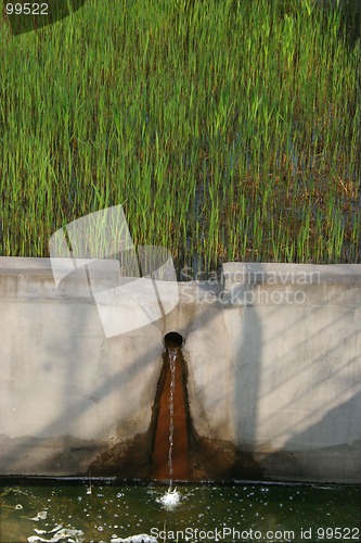 Image of Garden
