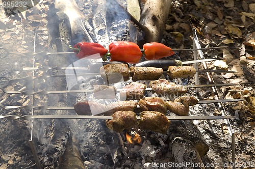 Image of Shashlik