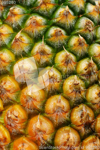 Image of pineapple pine