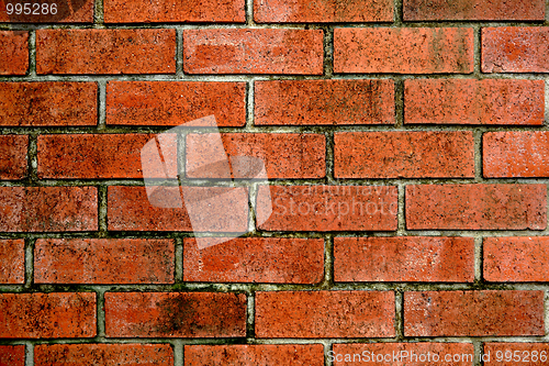 Image of old bricks wall