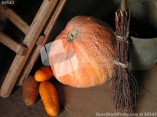 Image of Big pumpkin