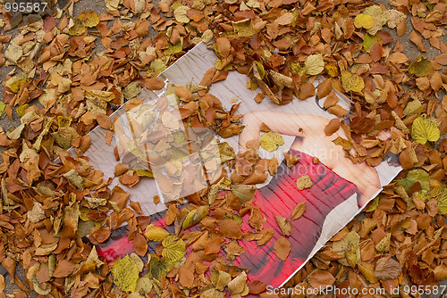 Image of Autumn leaves