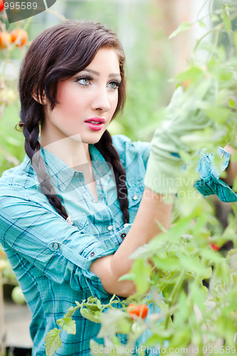 Image of Gardening woman