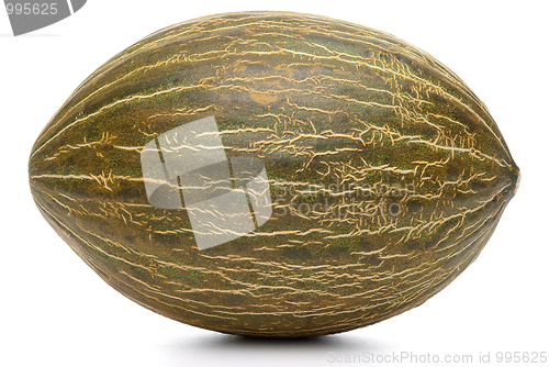 Image of Melon