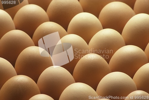 Image of Country brown eggs lined up