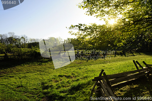 Image of Sun shining through trees on a farm