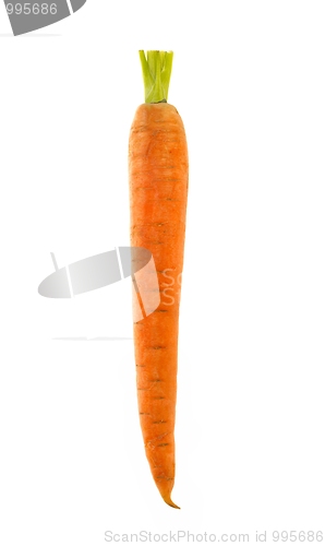 Image of Carrot