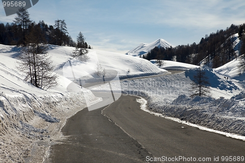 Image of Winter Road