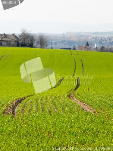 Image of Fields