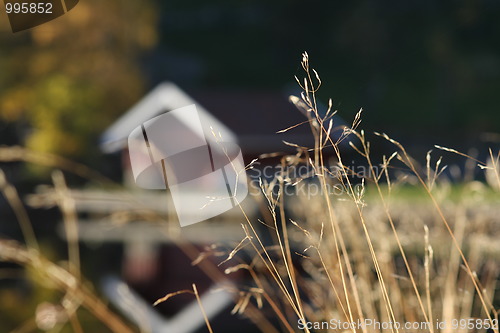 Image of Boathouse in background