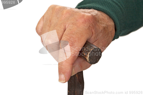 Image of Walking stick in hand