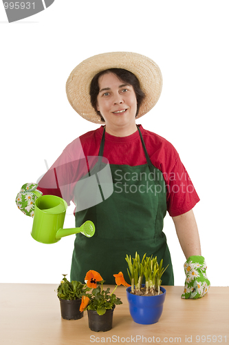 Image of Gardener