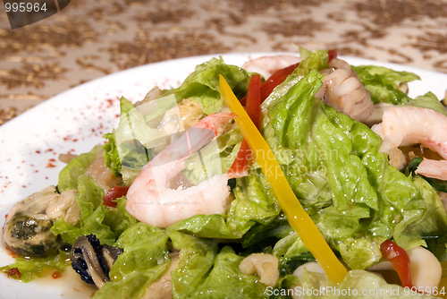 Image of Salad made of seafood        