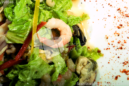 Image of Salad made of seafood        