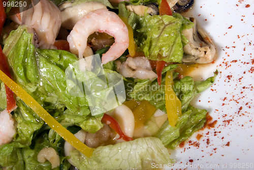 Image of Salad made of seafood        