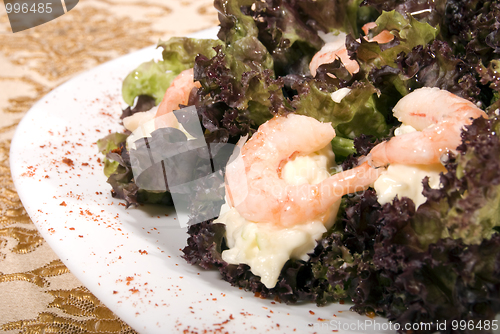 Image of Fresh salad      