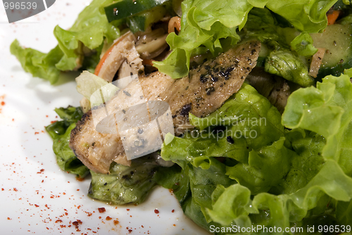 Image of Fresh salad              