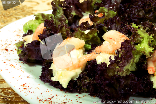 Image of Fresh salad       