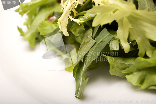 Image of Salad leaves 