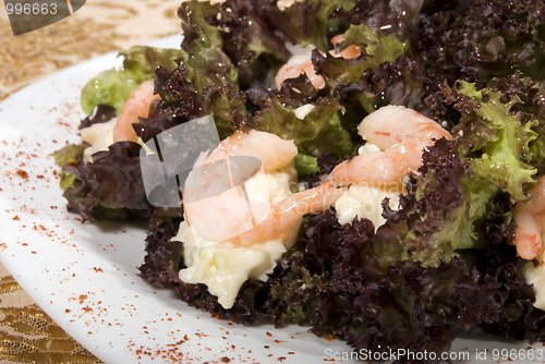 Image of Fresh salad       