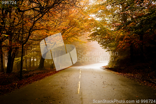 Image of Beautiful road