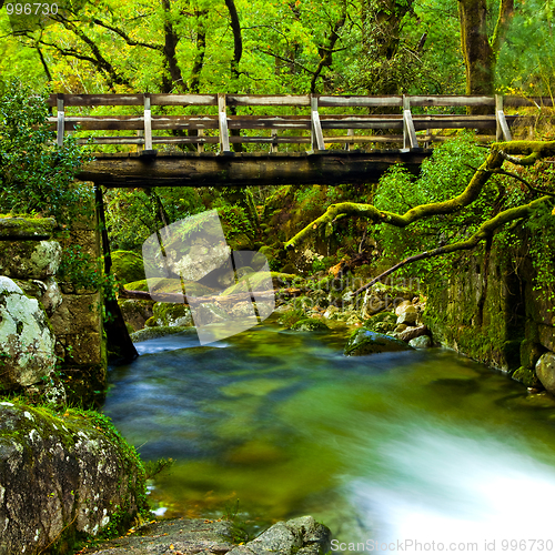 Image of Beautiful river