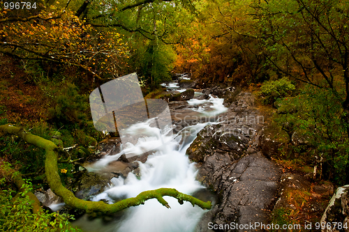 Image of Beautiful river