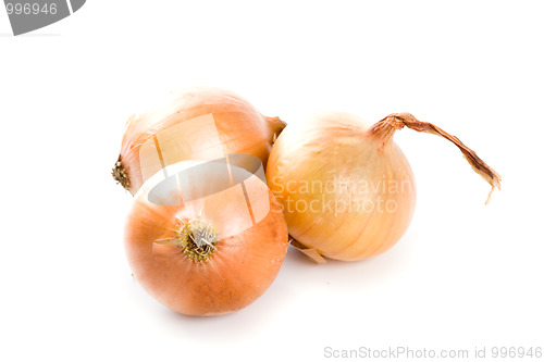 Image of three fresh onions