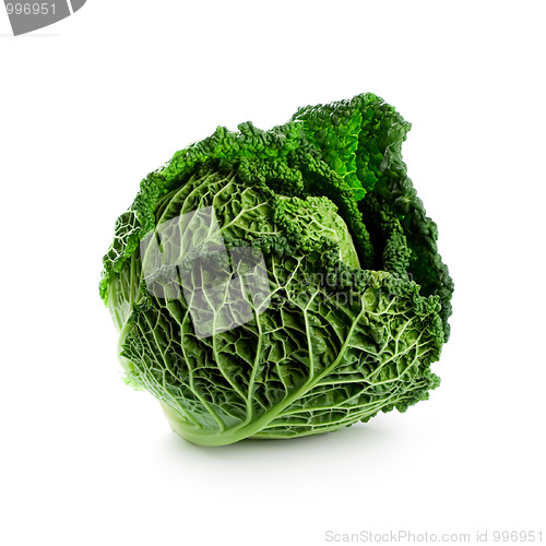 Image of fresh savoy cabbage