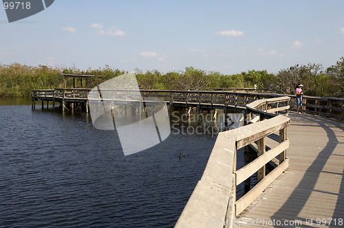 Image of Anhinga trail boardwalk