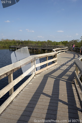 Image of Anhinga trail boardwalk