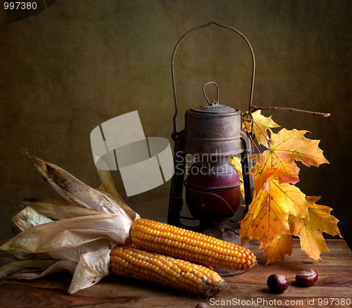 Image of Autumn Still Life