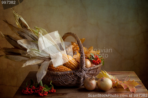 Image of Autumn Still Life