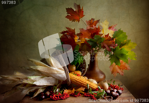 Image of Autumn Still Life