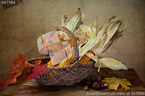 Image of Autumn Still Life