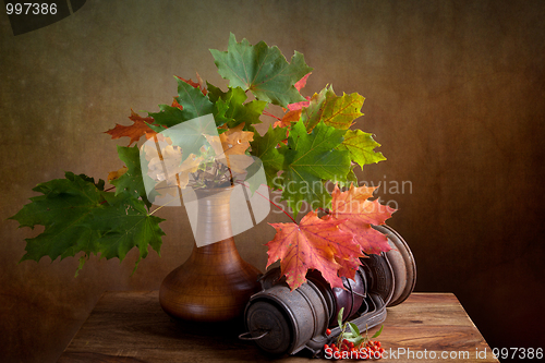 Image of Autumn Still Life