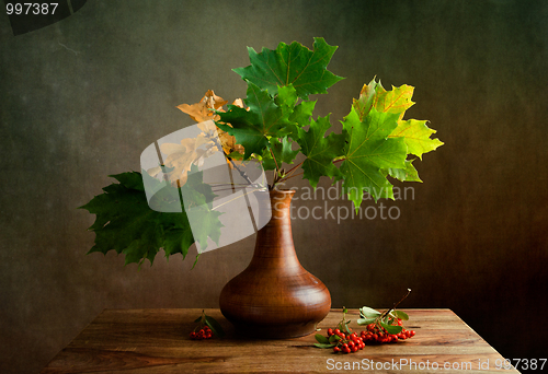 Image of Autumn Still Life