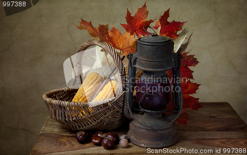 Image of Autumn Still Life