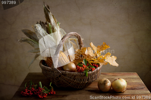 Image of Autumn Still Life