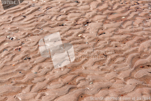 Image of Background from sea sand