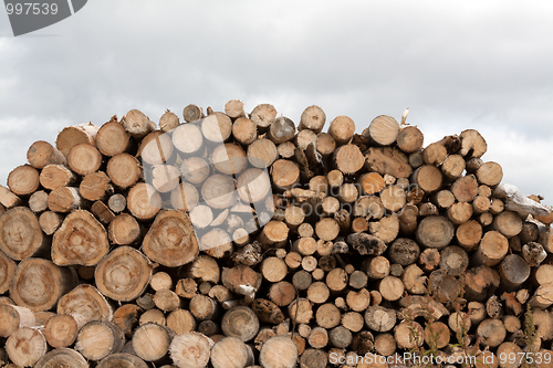 Image of Firewood put in heap