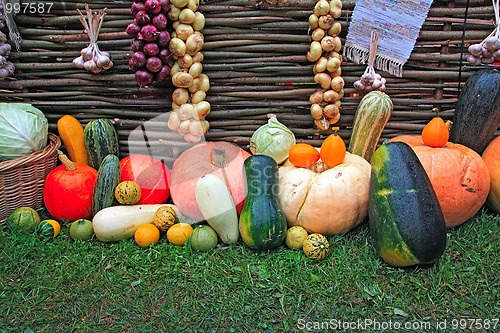 Image of vegetable background 