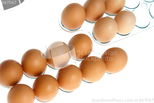 Image of Eggs