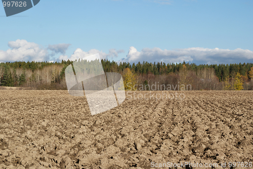 Image of Ploughed Field