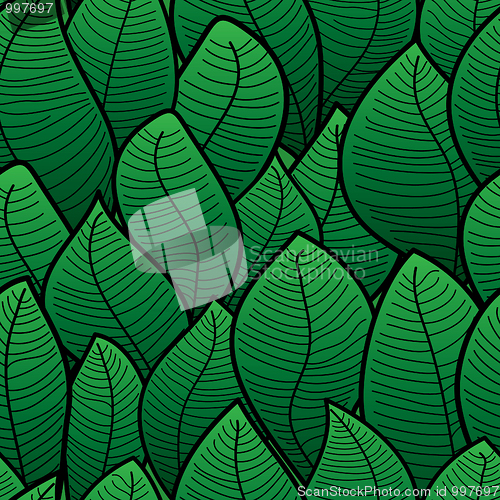 Image of Abstract background of green leaf